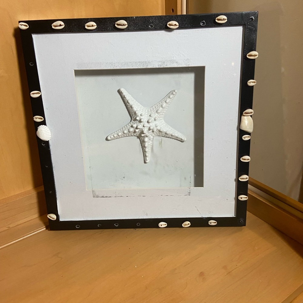 Seashell Starfish Wall Art in Black and White